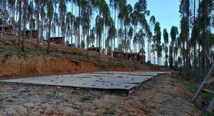 Lokasi Calon Istana Negara IKN Nusantara Jadi Bumi Perkemahan? Begini Kata Sekcam Sepaku