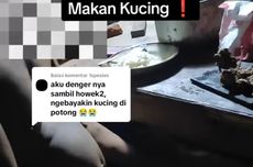 Pemilik Kos di Semarang Makan Kucing untuk Obat Diabetes, Dokter: Tak Bisa Jadi Obat dan Berbahaya 