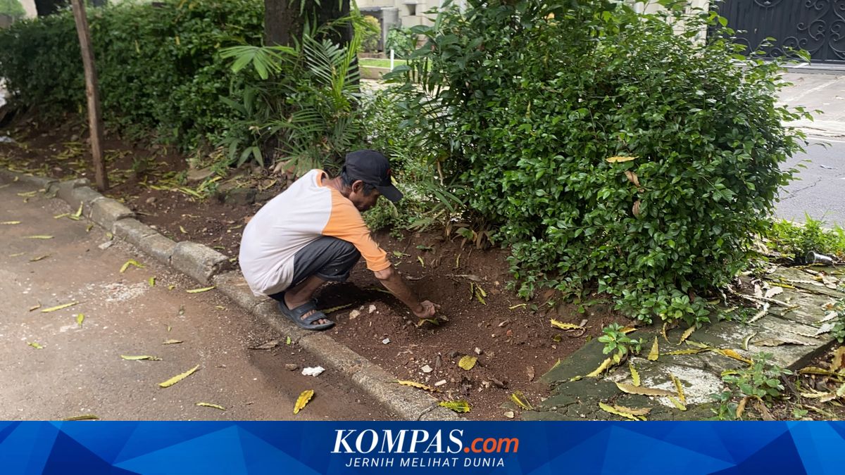 Cerita Teguh, Kuburkan Ratusan Kucing Mati di Senayan sejak 2010 ~RK

Baca di sini: