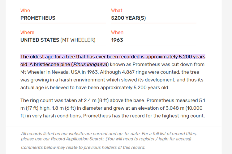 Tangkapan layar laman Guinness World Record, yang mencatatkan pohon prometheus di Nevada, Amerika Serikat pada 1963sebagai pohon tertua di dunia berusia sekitar 5.200 tahun.