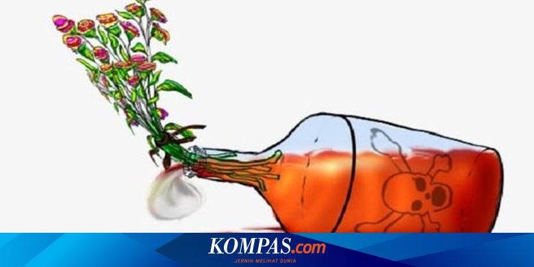 Kronologi Bayi 4 Bulan Dicekoki Miras oleh Pamannya