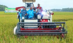 Nilai Tukar Petani Juni 2023 Naik Tinggi, Lanjutkan Tren Positif Nasional sejak 2021