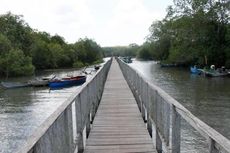 Ekosistem Rusak, Pantai Selok Awar Awar Akan Ditanami Mangrove