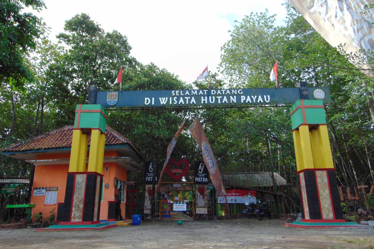 Wisata Hutan Payau di Cilacap.