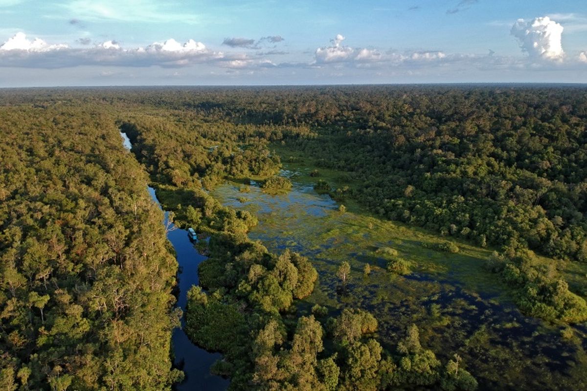 Bentang alam di Taman Nasional Tanjung Puting, Kalimantan Tengah.