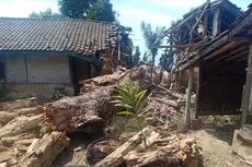Pohon Berusia Ratusan Tahun Tumbang, 2 Rumah Warga Rusak Tertimpa