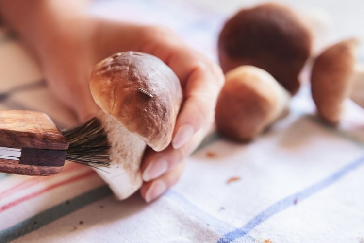 Ilustrasi cara membersihkan jamur menggunakan sikat kering. 