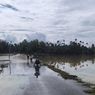 Kerugian Pertanian Aceh Utara karena Banjir Capai Rp 37 Miliar