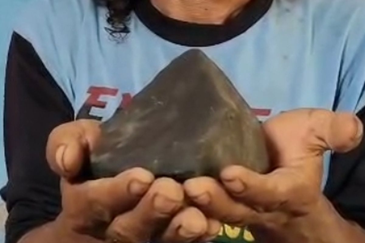 Wasroni (40) warga Desa Jatilaba, Kecamatan Margasari, Kabupaten Tegal, Jawa Tengah memegang batu berwarna hitam pekat yang ia duga sebagai batu meteor seberat sekitar 3 kilogram pada Minggu (5/10/2025) malam.