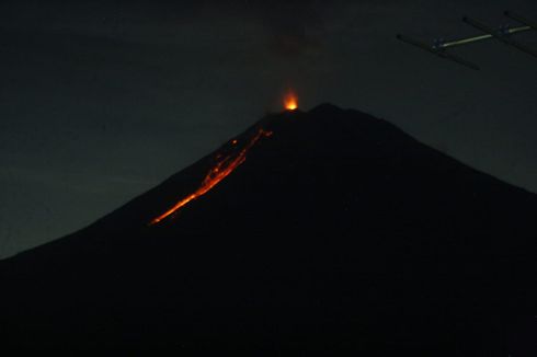 Aktivitas Vulkanik Gunung Semeru Meningkat, Terjadi 8 Kali Guguran Lava Pijar