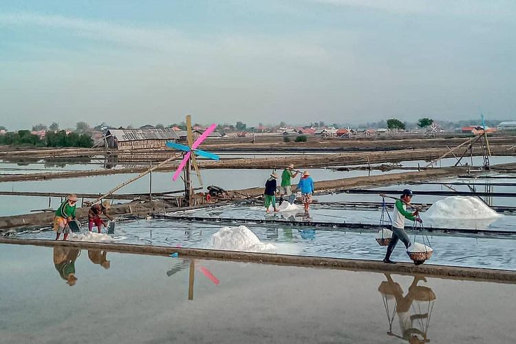 Para kuli angkut garam dari Tambak menuju daratan di Pakamban Laok, Kecamatan Pragaan, Kabupaten Sumenep, Rabu (1/5/2024). 