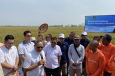 Zulkifli Hasan Tinjau Sawah di Subang, Petani Padi Minta Pupuk Bersubsidi