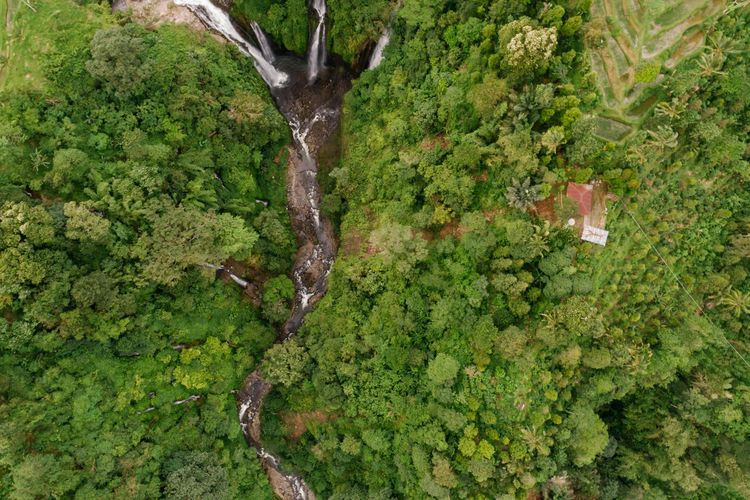 Accountability Framework initiative (AFi) merilis panduan untuk membantu perusahaan dan lembaga keuangan menghentikan deforestasi.