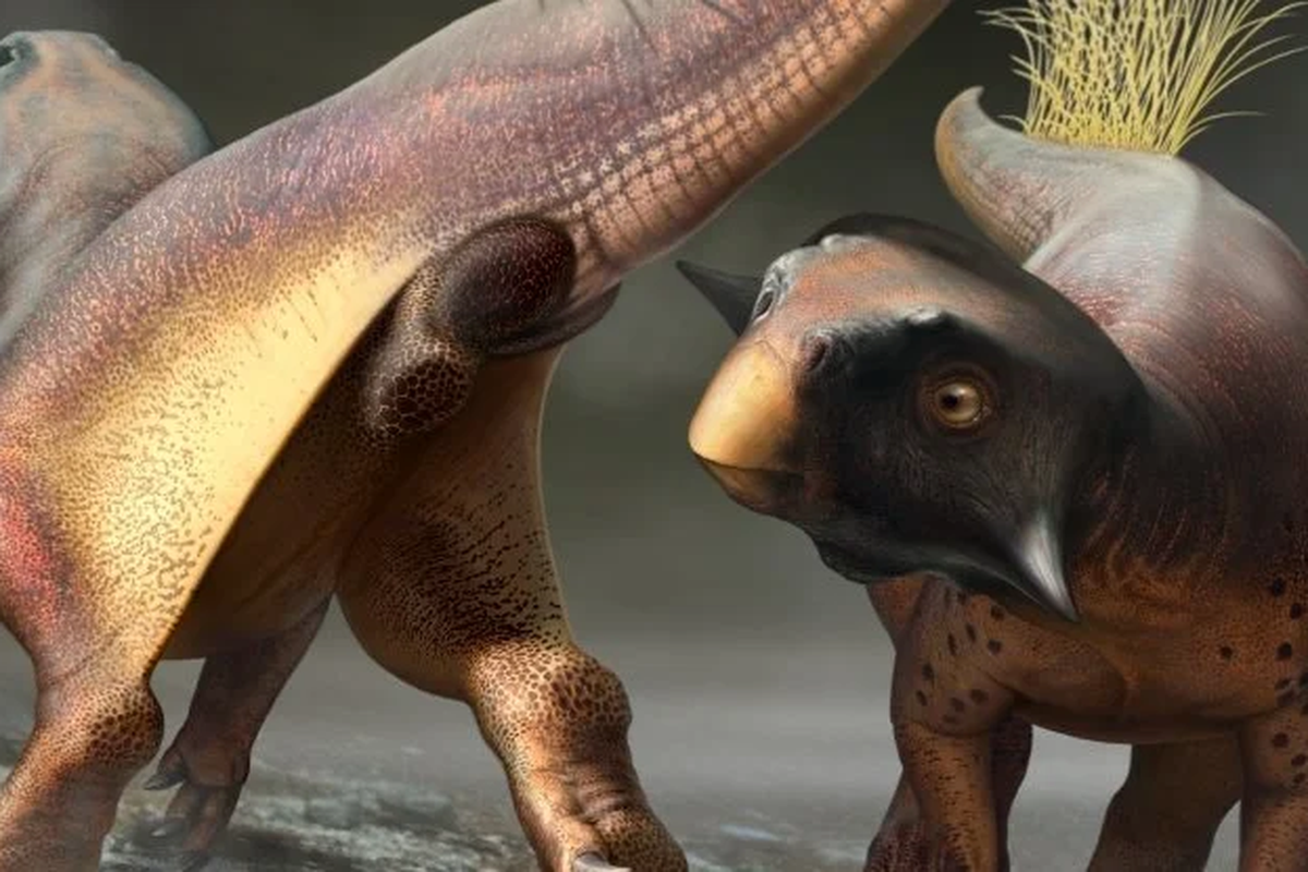 Ilustrasi Psittacosaurus