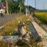 Lapor Polisi karena Belasan Tiang Beton Pembatas Jalan Hancur, Dukuh: Diduga Aksi Perusakan