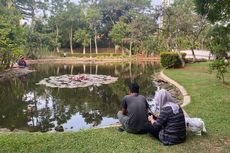 Nikmati Sore yang Sejuk di Taman Spathodea, Cocok untuk Santai 