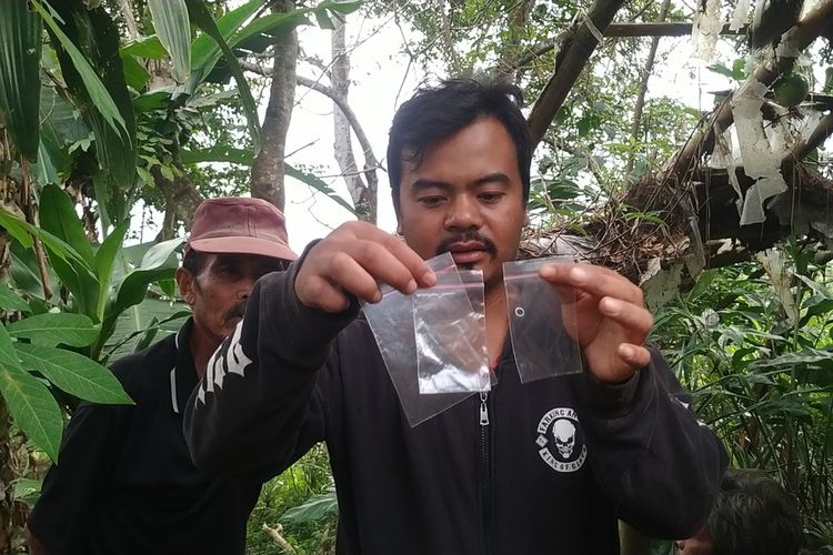 Agi Yulianto (32) memperlihatkan sampel rambut ditemukan di saung yang sempat ditiduri satwa liar mirip harimau di Desa Sukadamai, Kecamatan Cicantayan, Sukabumi, Jawa Barat, Selasa (26/7/2022).