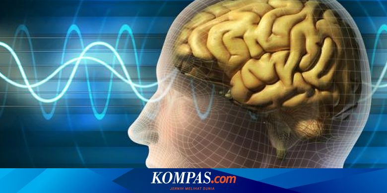 Tak Bisa Jawab 6 Pertanyaan Ini Tanda Otak Alami Penurunan Fungsi Halaman All Kompas Com