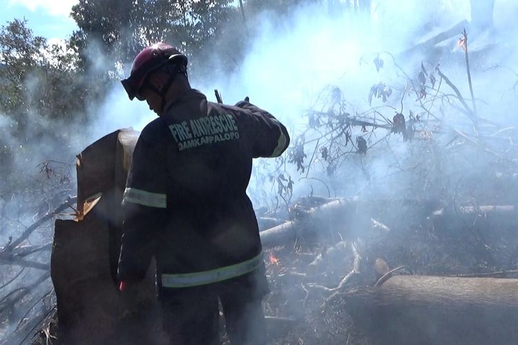 Kebakaran lahan terjadi di Kota Palopo, Sulawesi Selatan. Selasa (2/9/2025) sore, api melalap kawasan perbukitan di Kilometer 5, Kelurahan Lebang, Kecamatan Wara Barat.