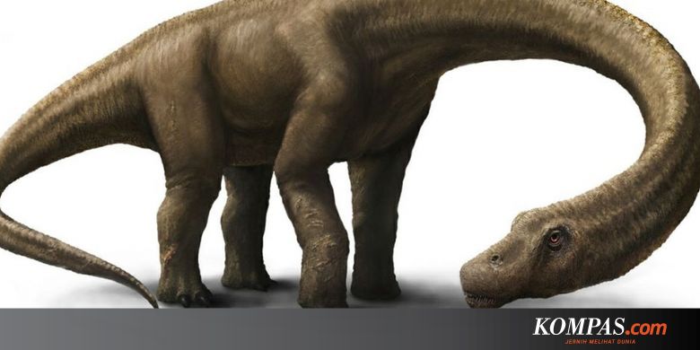 Inilah 3 Dinosaurus Terbesar Yang Pernah Menjelajah Bumi Halaman