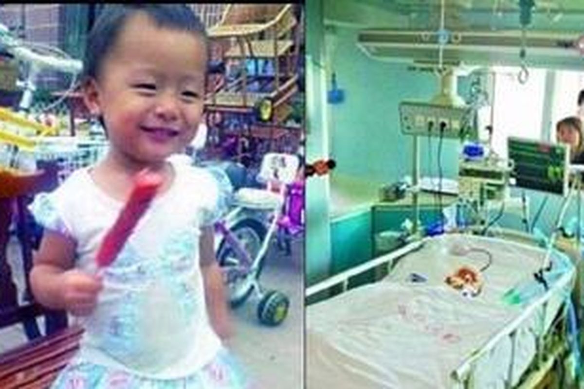 Yue Yue semasa hidup dan saat dia dirawat di rumah sakit akibat kecelakaan yang dialaminya.