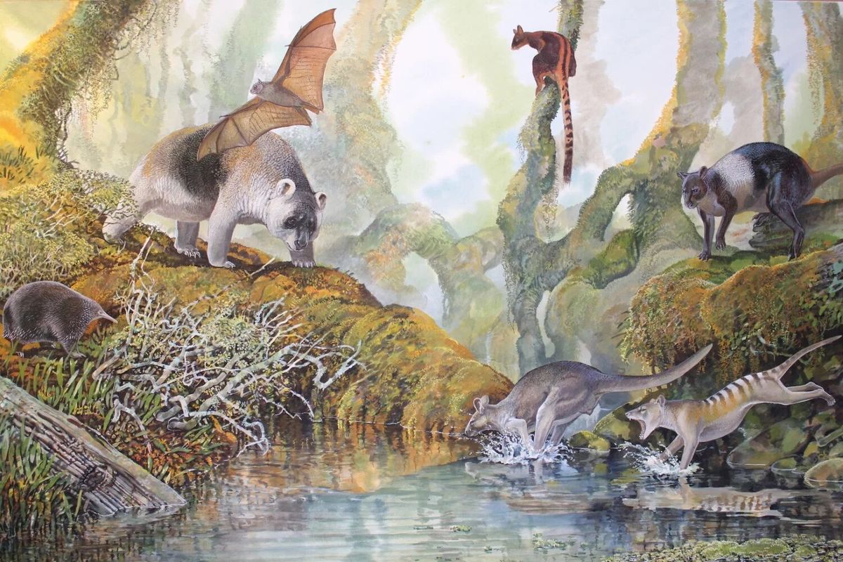 Ilustrasi megafauna di Papua Nugini. Studi baru mengungkapkan bahwa megafauna papua Nugini bertahan hidup hingga 20.000 tahun yang lalu.
