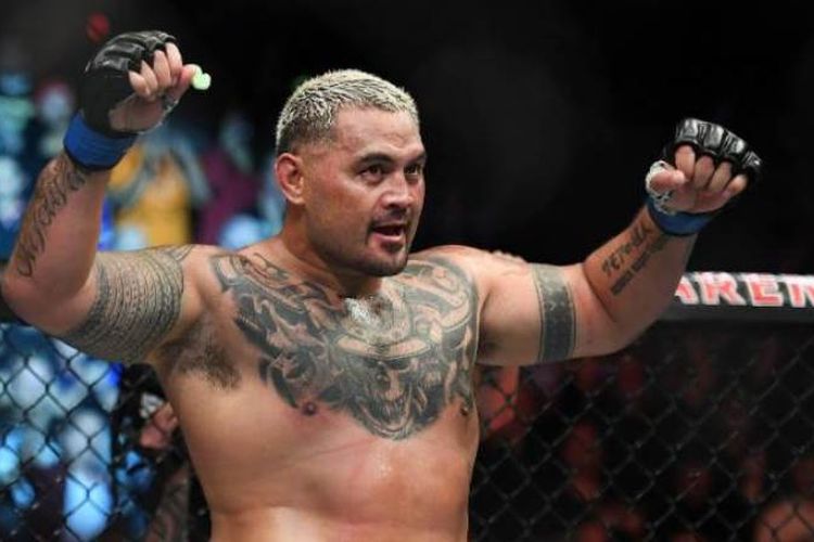 Mark Hunt