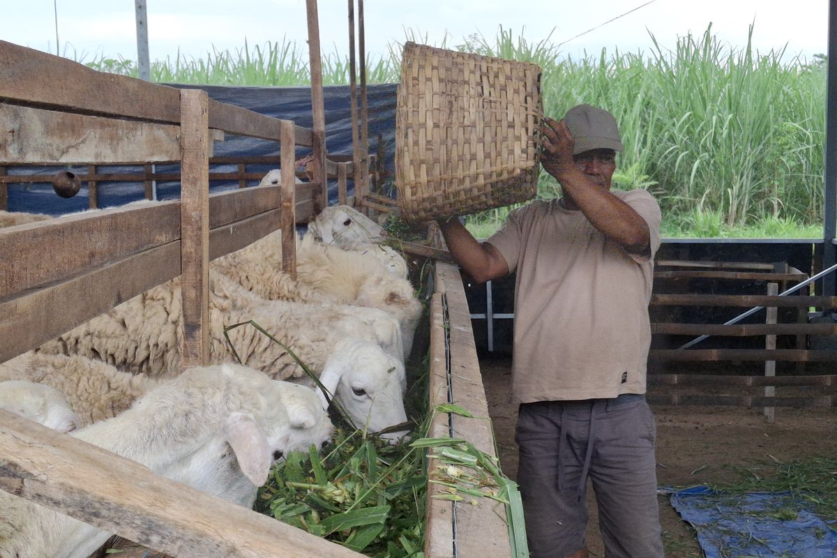 Banyoda katta kokrak porno video Diana Malison bilan porno