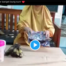 Marak Kasus COD Belanja Online, Ini Kata Shopee, Tokopedia, hingga YLKI