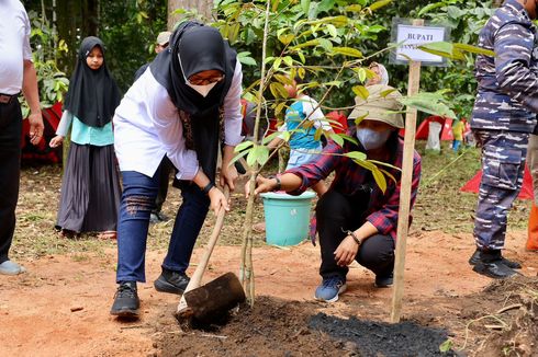 5 Varietas Durian Merah Banyuwangi Kini Sudah Terdaftar di Kementan