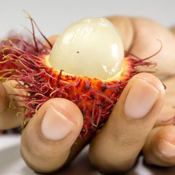 Ilustrasi rambutan, buah rambutan.