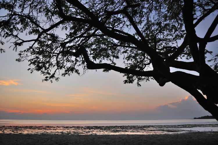 Sunrise di Pantai Bama  DOK. Shutterstock