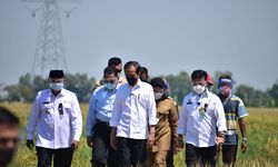 Jokowi Senang Produktivitas Padi Tinggi dan Harga Gabah Naik