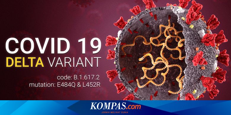 Studi: Viral Load Varian Delta 300 Kali Lebih Tinggi, Ini Artinya - Vimarsana News