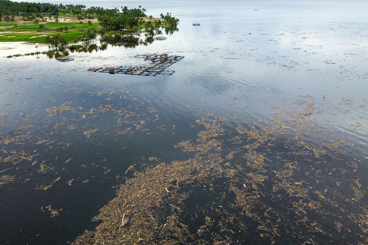 Foto udara sampah dari kayu gelondongan yang hanyut di danau Singkarak di Nagari Muaro Pingai, Kabupaten Solok, Sumatera Barat, Minggu (30/11/2025). Sampah kayu gelondongan tersebut menumpuk di sepanjang jalur banjir bandang beberapa hari terakhir.  ANTARA FOTO/Wawan Kurniawan/Lmo/nz