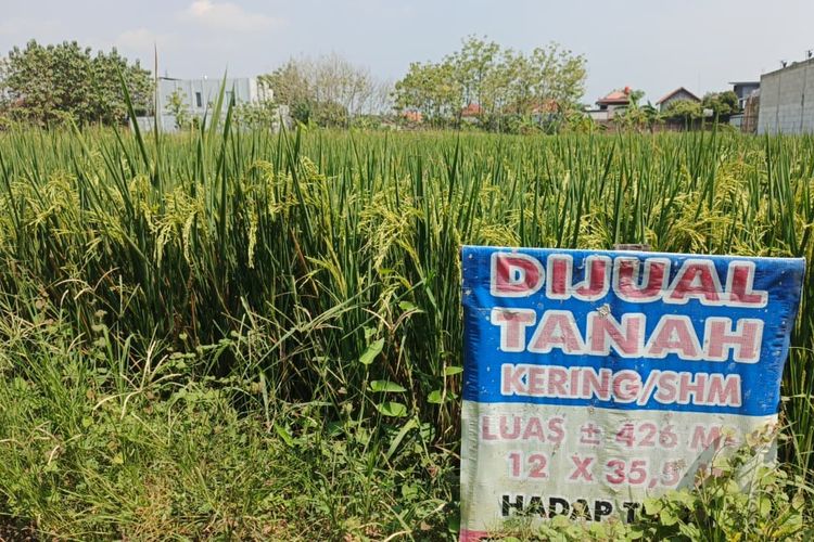 Ini Prosedur Blokir Tanah Sengketa di BPN dan Syaratnya