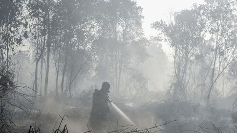 BNPB Ungkap Sumber Air Mulai Menyusut, Pemadaman Karhutla Makin Sulit