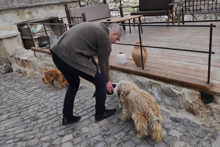 Masyarakat Turki memberi makan anjing.
