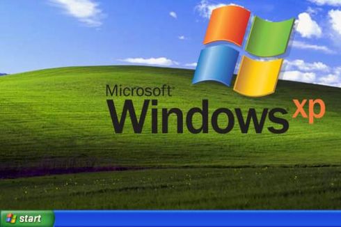 Ingat Wallpaper Windows XP Legendaris Ini? Begini Sejarahnya