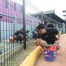 Gotong Royong Suporter Persik, Dari Hati Nurani demi Stadion yang Bersih dan Nyaman
