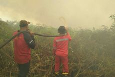 Titik Api Karhutla Riau Makin Banyak, Luas Kebakaran Sampai 20 Hektar