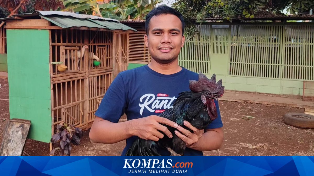 Kisah Sukses Febroni Purba, Ubah Nasib Ratusan Peternak dengan ...