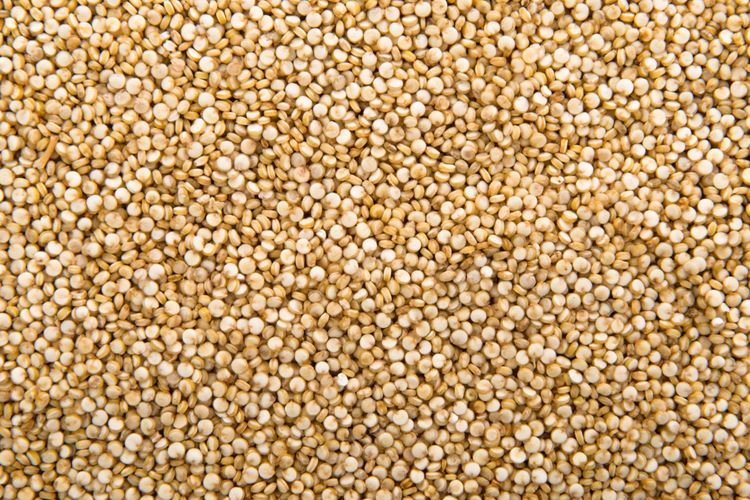 Quinoa juga merupakan salah satu makanan tinggi serat, dengan kandungan sekitar 5,2 gram serat per cangkirnya.