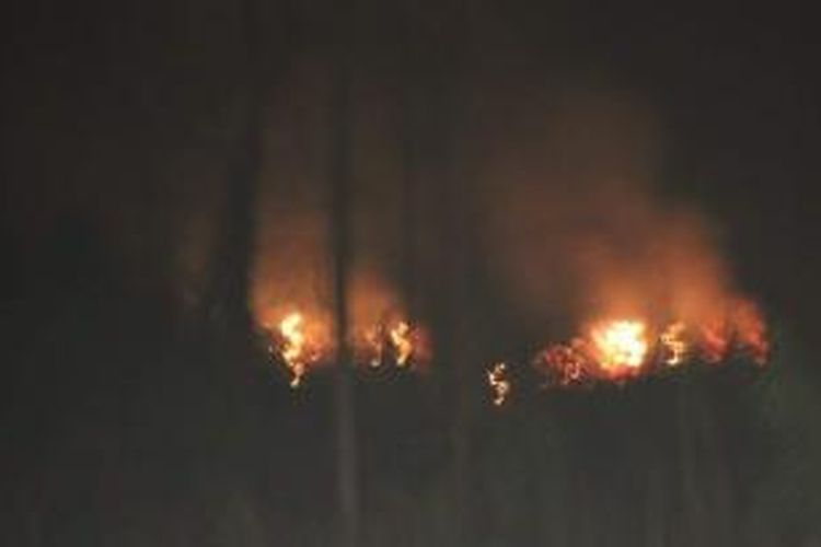 Hutan terbakar di wilayah Taman Nasional Kerinci Sebelat (TNKS), Kabupaten Lebong, Bengkulu