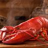 Apakah Lobster Mengandung Kolesterol Tinggi? Cek Faktanya Berikut Ini…