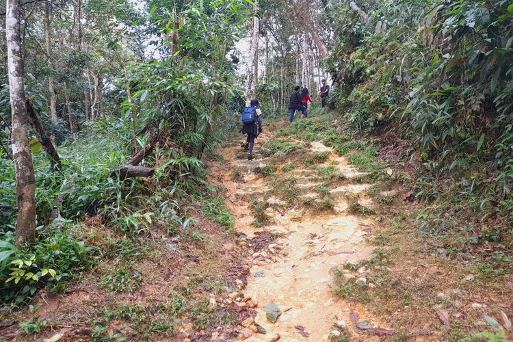 Rute trekking di Bukit Lawang, Taman Nasional Gunung Leuser Sumatera Utara. 