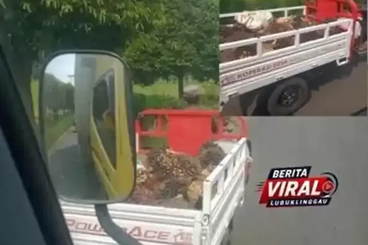 Motor Koperasi Desa Merah Putih di Musi Rawas Angkut Sawit, Kades Minta Maaf dan Klarifikasi