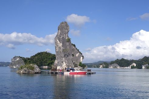 Cegah Trumbu Karang Rusak, Kapal Besar Dilarang Sandar di Dermaga Raja Ampat Ini