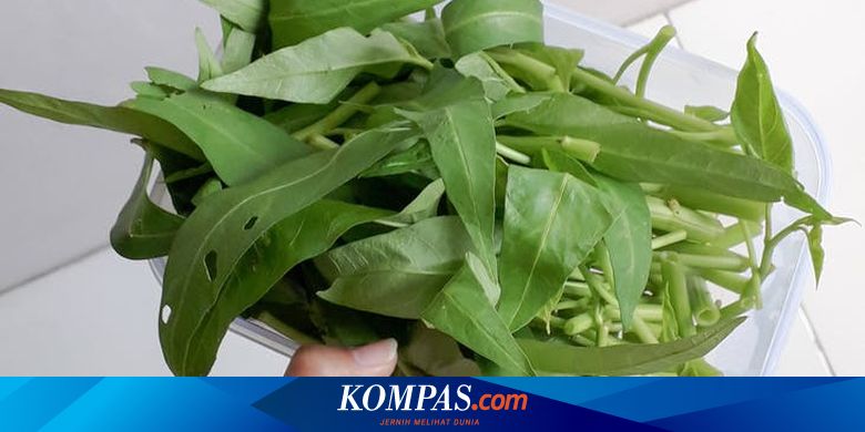 Survei BPS: Orang RI Kurang Makan Sayur, Kangkung Paling Digemari
