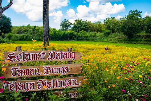 6 Tips Berkunjung ke Taman Bunga Telaga Malingan Gunungkidul